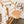 Monkey Set von Busywood (Bett & Tisch)