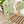 Forest Bed mit Lattenrost - Kinderbett mit Kletterwand